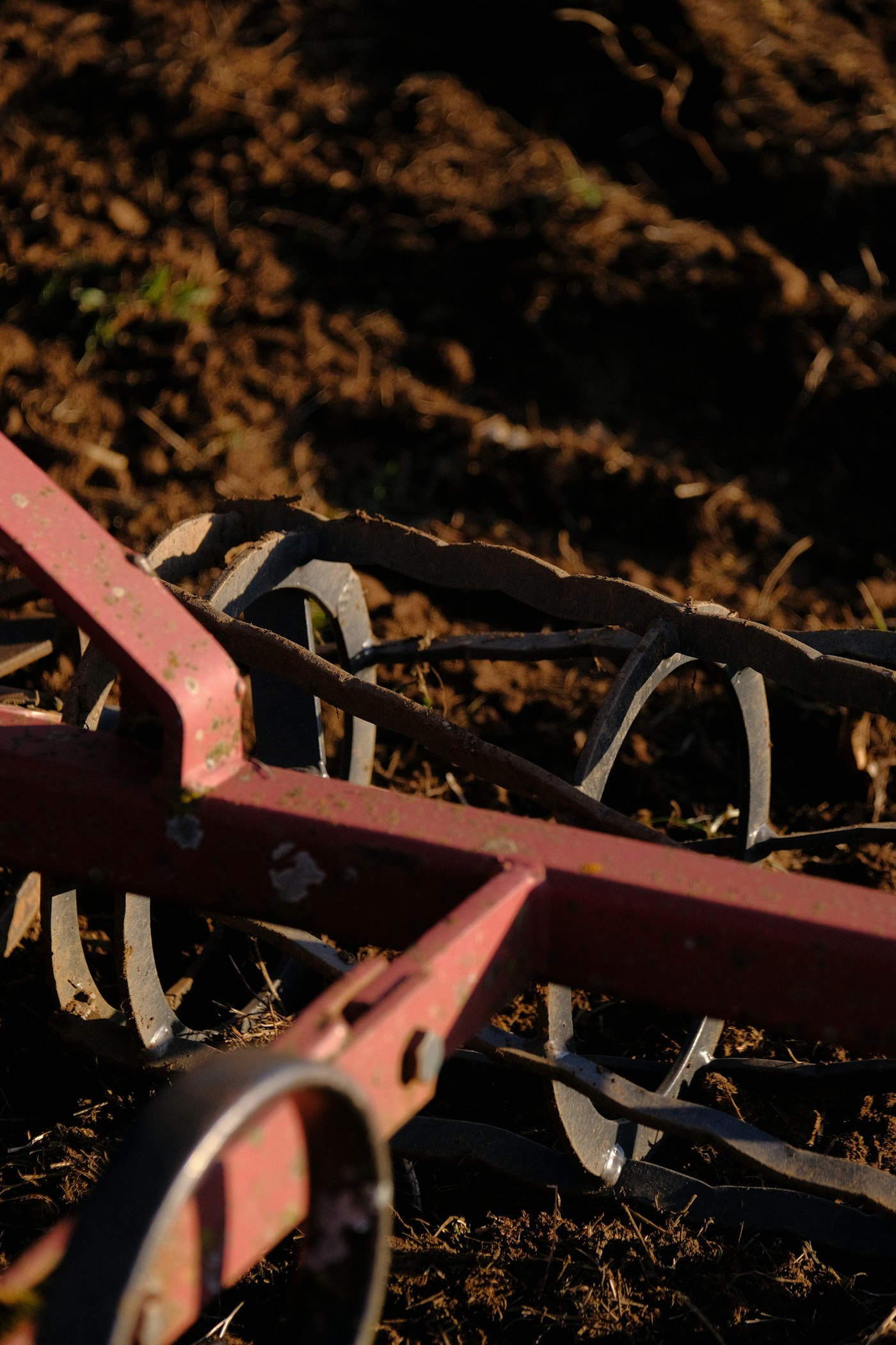 Cultivator implement close-up in soil